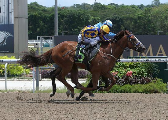 Heavenly Dancer looking to maintain winning run