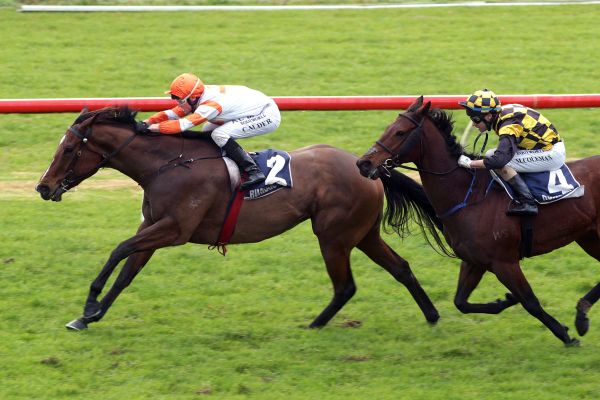 Hello It’s Me retired