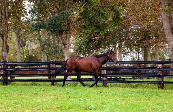 Hello Youmzain Retired