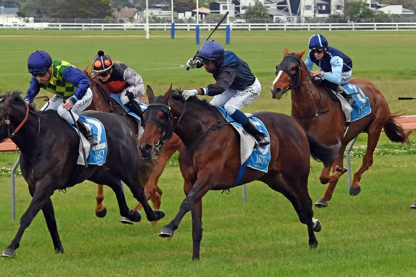 Il Affare looks the deal