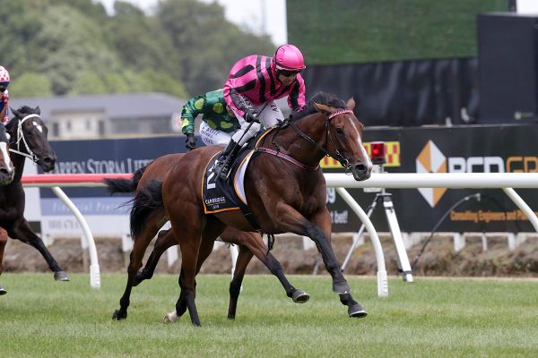 Jumps fraternity joins forces for Australian campaigns