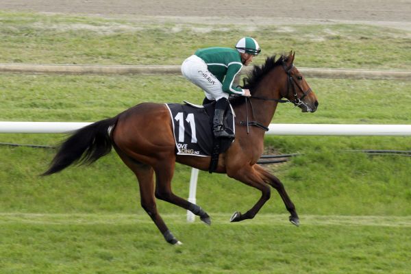 Different complexion for Livamol Classic