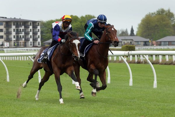 Ready to Run Parade Schedule