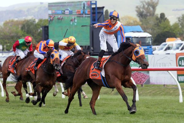 Melody Belle reigns supreme at Hastings