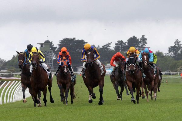 Melt back in winning form after two-year hiatus