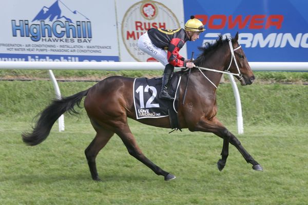 Patient approach with unlucky Moana