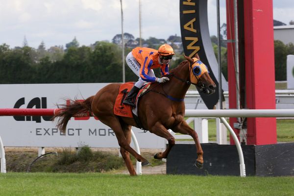 Smart three-year-old leaves rivals speechless at Te Rapa