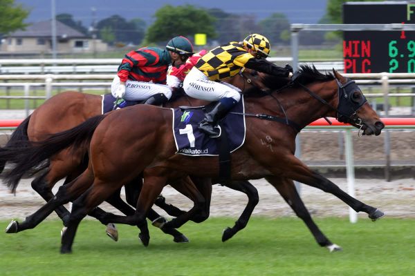 2000 Guineas Not An Option