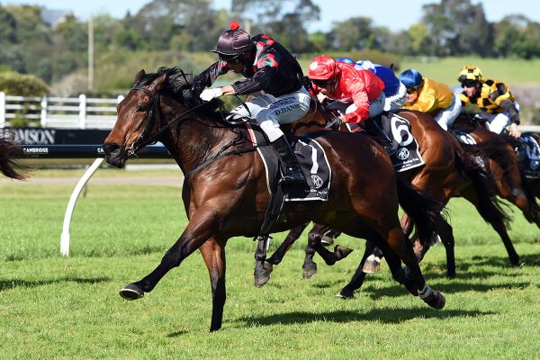 Paisley Park a summer cups contender