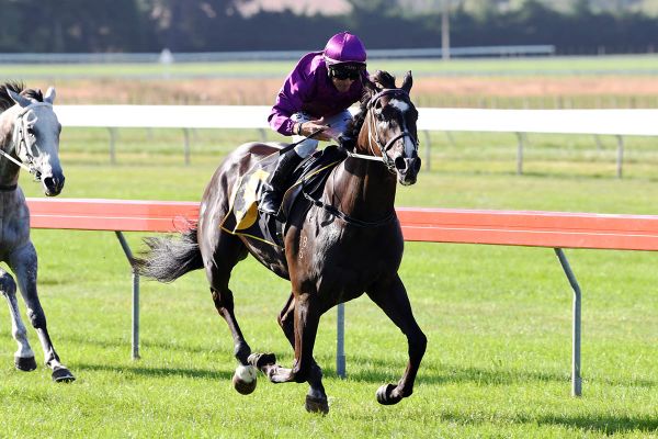 Platinum Invador vying for Cup berth