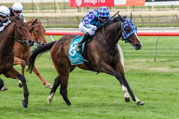 Jenni lands knock-out blow in Bendigo Cup