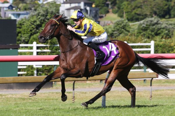 Princess Rihanna ready for Pukekohe sprint