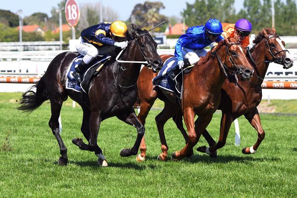 Ranting ready for Coolmore