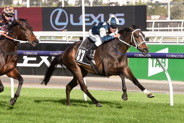 Sierra Sue dazzles in Group Two win