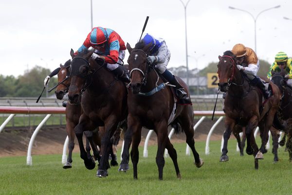 Siracusa takes Pukekohe feature