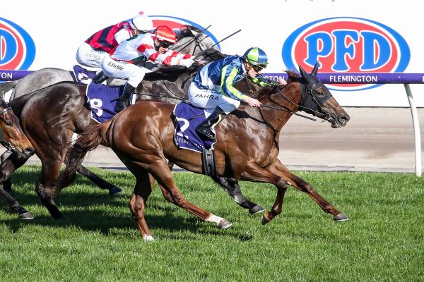 Spanish Whisper to be sold on Gavelhouse Plus