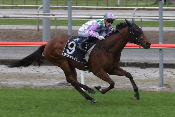 Exciting times ahead for impressive Matamata winner