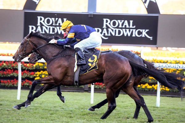 Tofane on song for Gilgai