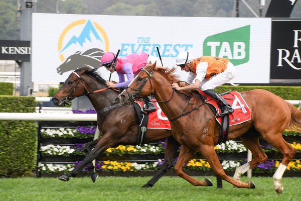 Trumbull chasing more riches