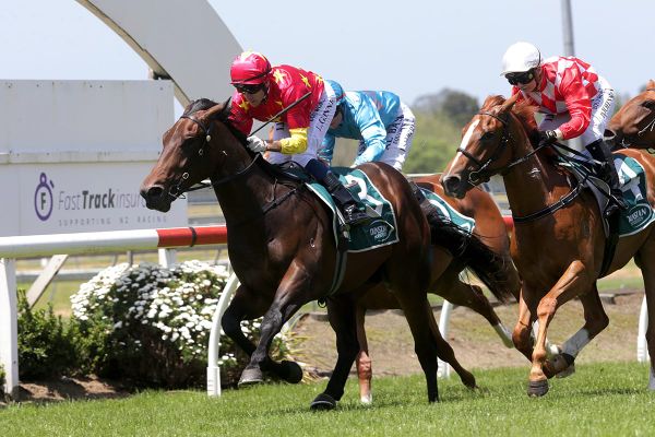 Guineas credentials on the line for talented Unition