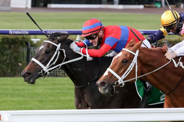 Zahra bullish on Verry Elleegant’s Caulfield Cup prospects