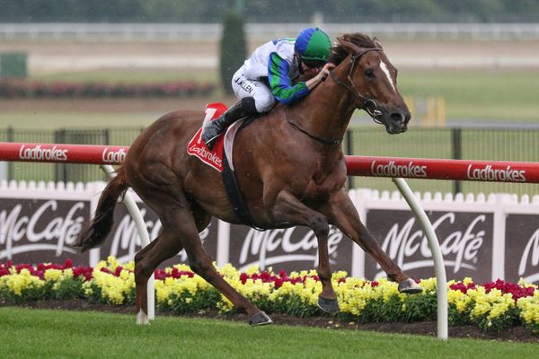 Pins mare stakes bound