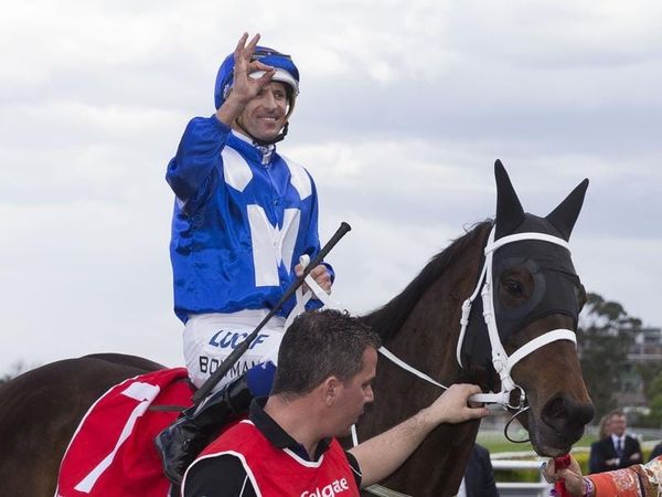Winx loses foal