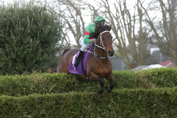 Connors out to complete Ellerslie set