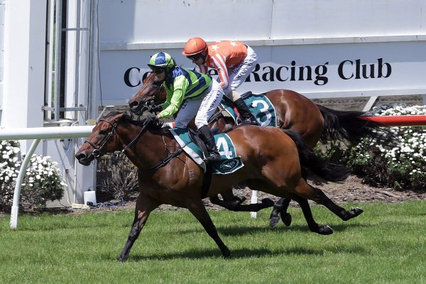 Fursdon Yearning for Hawera victory