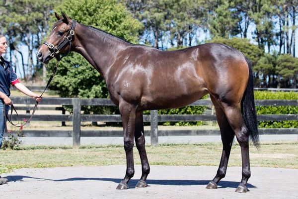 Group One target for Reliable Man mare