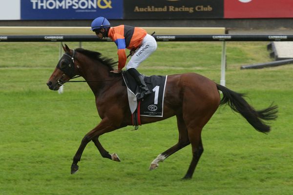 Abu Dhabi out for elusive maiden victory