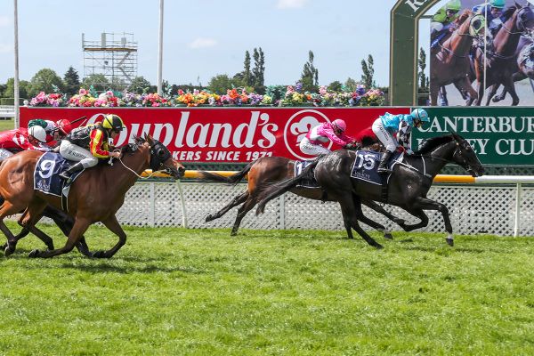 Untapped Aimee's Jewel wins Canterbury Breeders' Stakes