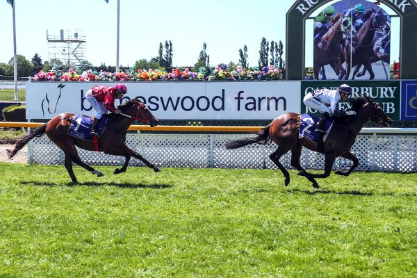 Avonallo turns tables in Welcome Stakes