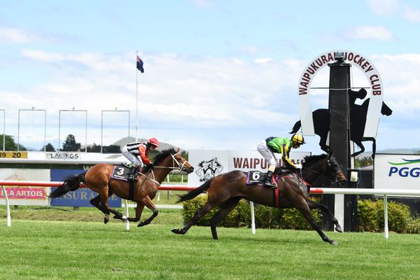 First stakes tilt for Basarwa
