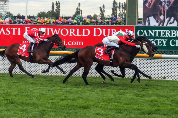 Spelling paddock beckons gallant Guineas runner-up
