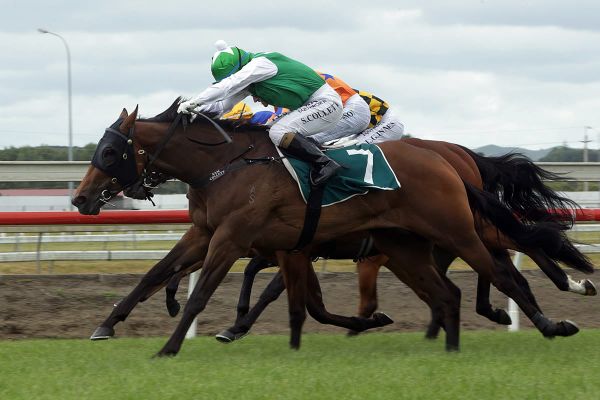 Brix provides Harvey with first stakes winner