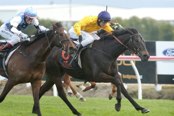 Mile switch for talented Communique