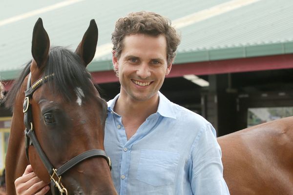 Guineas test for Kiwi-bred