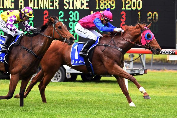 Bambry in search of stakes breakthrough
