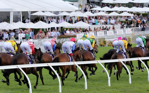 Proposed Super Club a game-changer for Auckland Racing