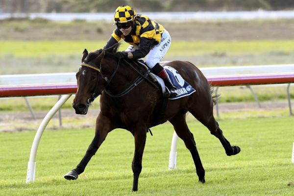 Lindsays out for more Karaka glory
