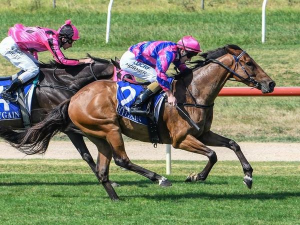 Ryan flags Golden hope for marathon race