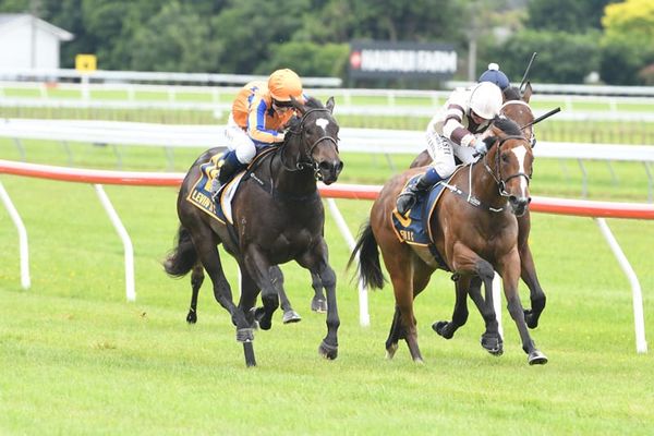 Fifth 2YO winner for Richards