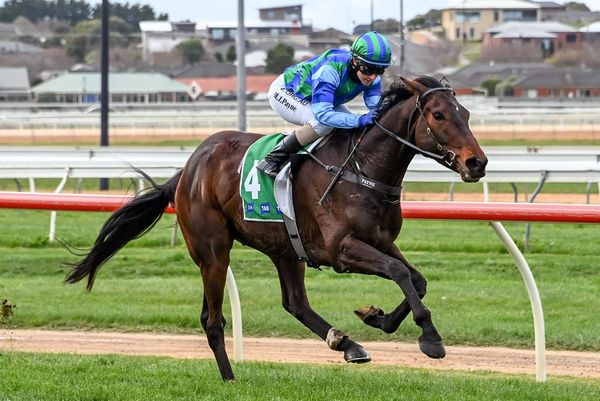 Payne's Jericho Cup bid