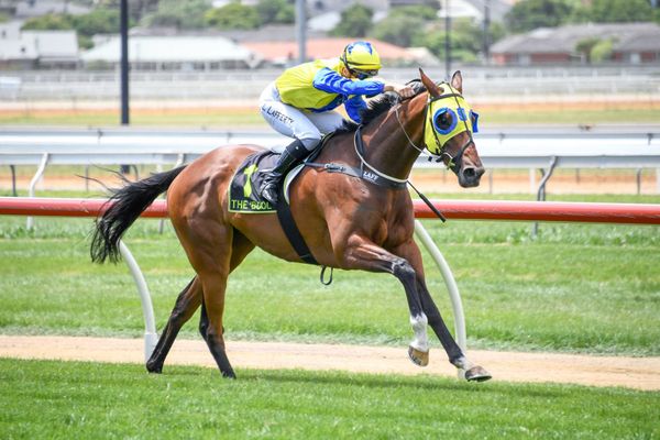 Warrnambool Cup target for former Kiwi