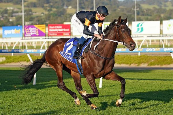 No surprises as Kurabui wins on debut