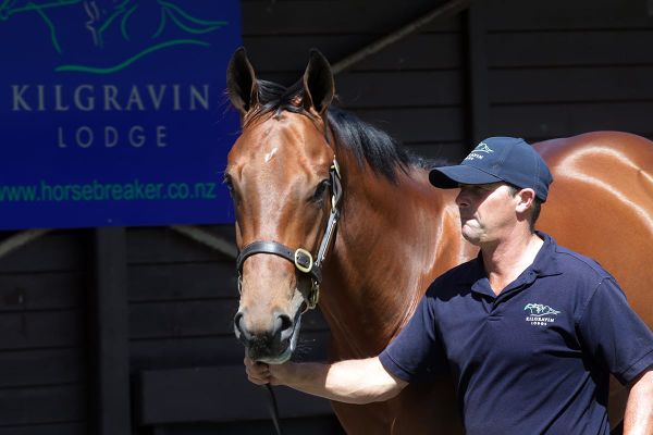 Kemp hoping innovative approach pays dividends at Ready To Run sale