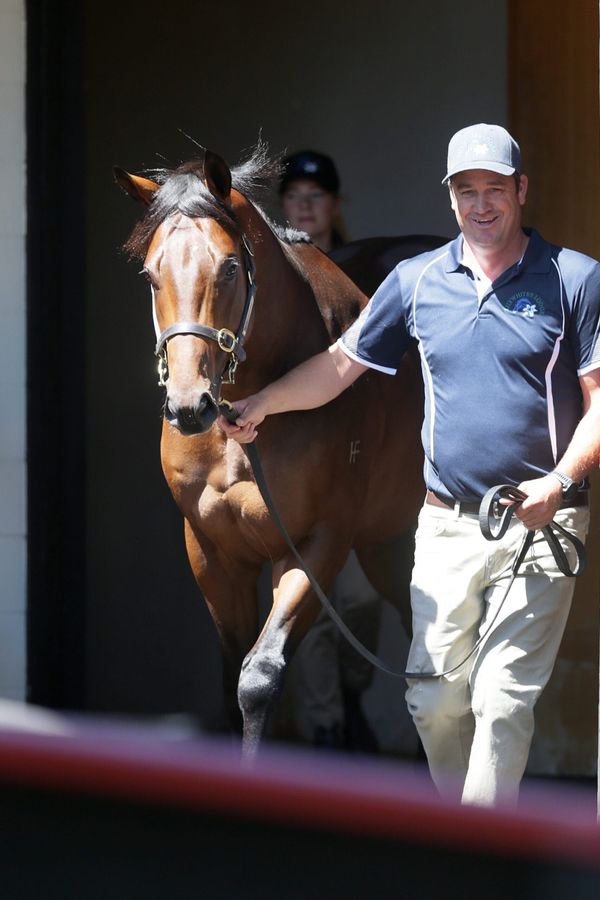 Ellis returns to Karaka well