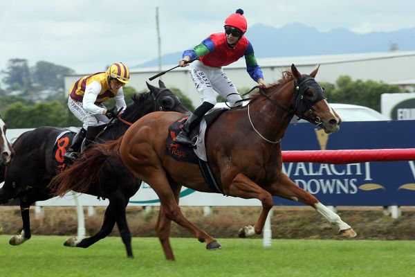 Promising sprinter scores first stakes victory