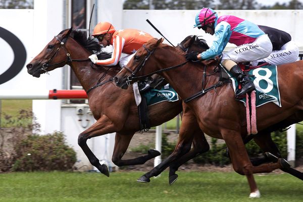 Media Sensation dominates on-speed in Group Two feature